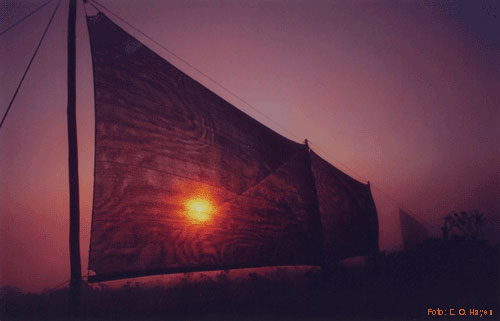 (Foto: E. O. Hayes)